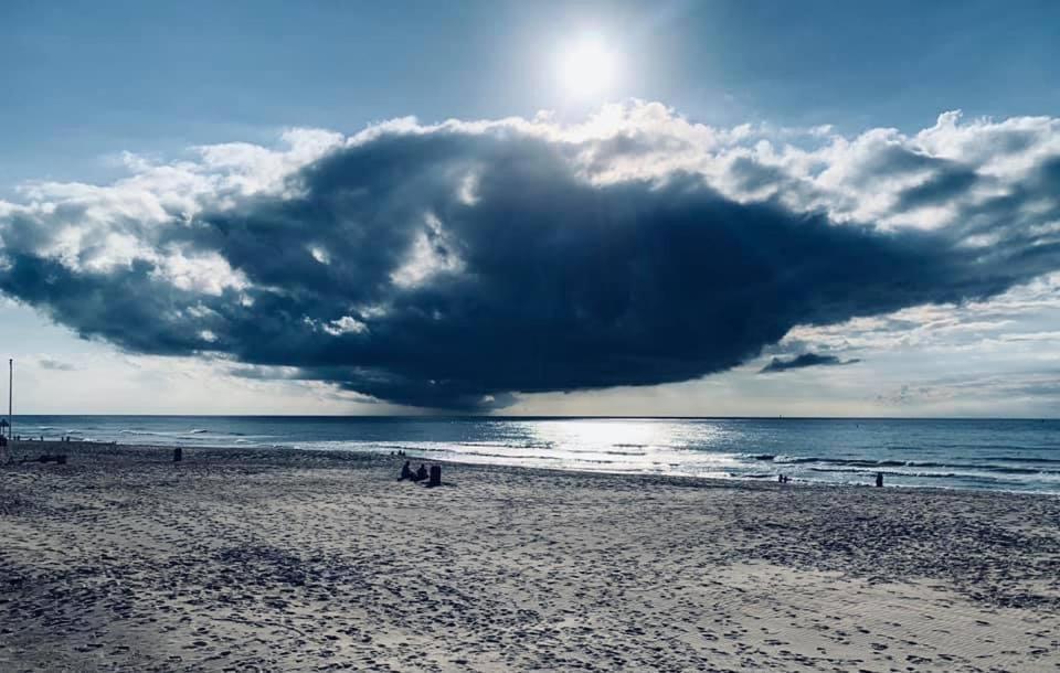 La Cabane D'O Oostende Eksteriør bilde